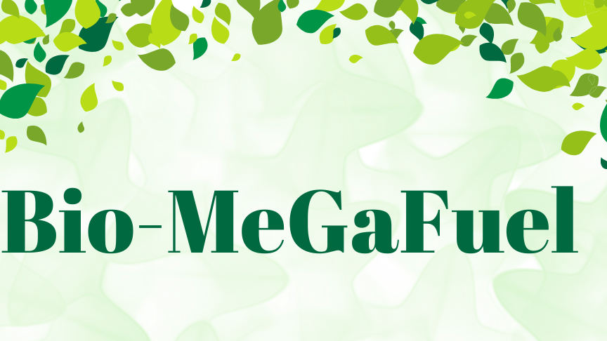 Bio-MeGaFuel Research Presented at Two International Conferences